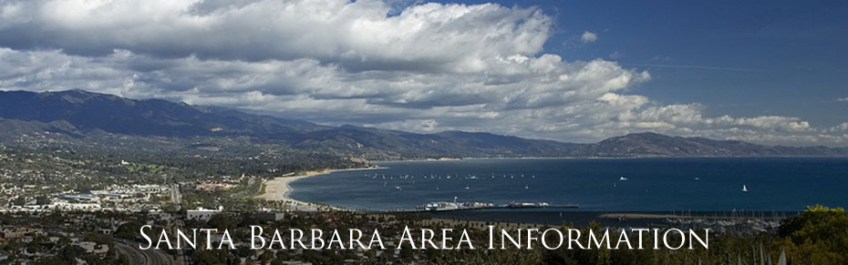 Area Information